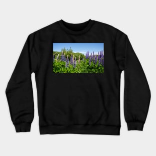 Purple and pink Lupin flowers. Crewneck Sweatshirt